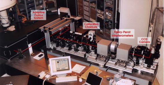 IBIS Layout