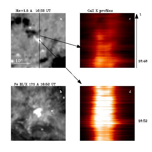 Spectral Profiles